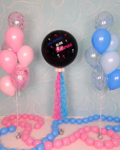 Gender Reveal Set